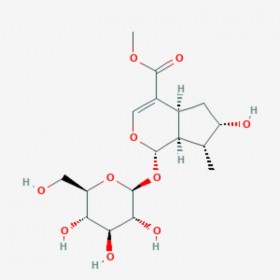 馬錢苷（馬錢素） Loganin 18524-94-2 C17H26O10