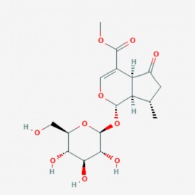 馬鞭草苷 Verbenalin 548-37-8 C17H24O10