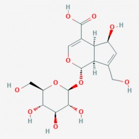 去乙酰基車葉草苷酸 Deacetylasperulosidic acid 14259-55-3 C16H22O11