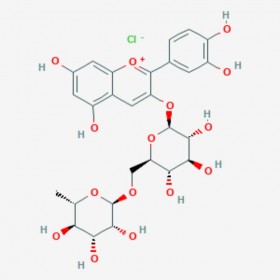 矢車菊素-3-O-蕓香糖苷 Cyanidin-3-O-rutinoside chloride 18719-76-1  C27H31O15Cl