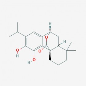 鼠尾草酚 Carnosol 5957-80-2 C20H26O4