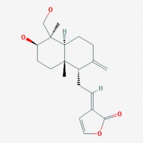 脫水穿心蓮內酯 Dehydroandrographolide 134418-28-3 C20H28O4