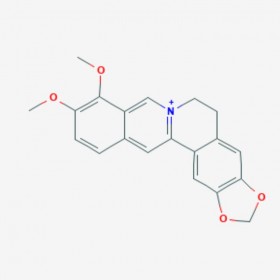 小檗堿 Berberine 2086-83-1 C20H18NO4