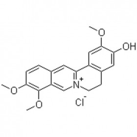 鹽酸藥根堿 Jatrorrhizine hydrochloride 960383-96-4（6681-15-8） C20H20ClNO4+