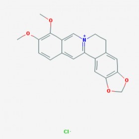 鹽酸小檗堿 Berberine hydrochloride 633-65-8 C20H18ClNO4