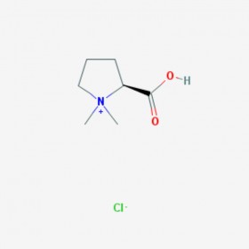 鹽酸水蘇堿 Stachydrine hydrochloride  4136-37-2 C7H14ClNO2