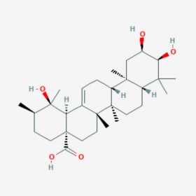 野鴉椿酸 Euscaphic acid 53155-25-2 C30H48O5