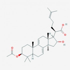 3-O-乙酰基-16Α-羥基松苓新酸 3-O-Acetyl-16α-hydroxydehydrotrametenolic acid 168293-14-9 C32H48O5