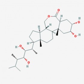 蕓苔素內(nèi)酯 Epibrassinolide 72962-43-7 C28H48O6