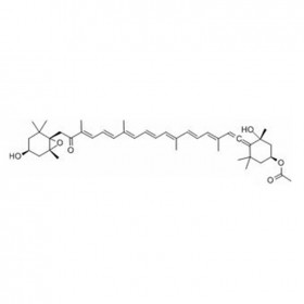 巖藻黃質(zhì) Fucoxanthin 3351-86-8 C42H58O6