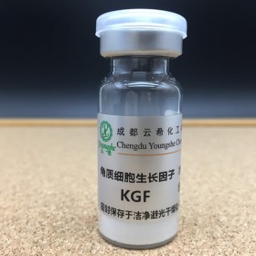 重組人角質細胞生長因子 KGF-2 合成人多肽-10 Sh-polypeptide-10