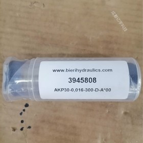 瑞士BIERI比利微型泵AKP30-0.016-300-D-A*00現貨