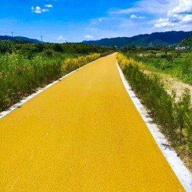 遼寧阜新市彩色透水混凝土 透水地坪粘接料廠家 透水砼顏色料 透水地坪粘接膠 透水地坪報價 批發價格