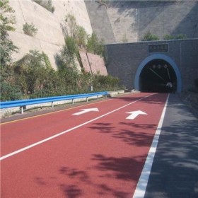 彩色透水地面 露骨彩色透水混凝土 車行彩色透水混凝土路 無砂混凝土 制造廠