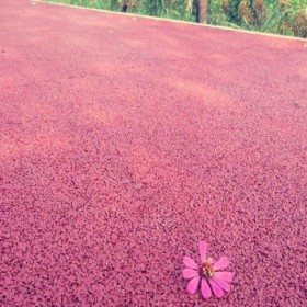 周口市 小區彩色混凝土 生態透水地坪 透水性混凝土 露石子彩色混凝土 專業生產材料廠家報價