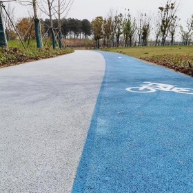 葫蘆島市 花紋景觀彩色混凝土 生態(tài)透水地坪 海綿城市透水砼 專業(yè)廠家出售